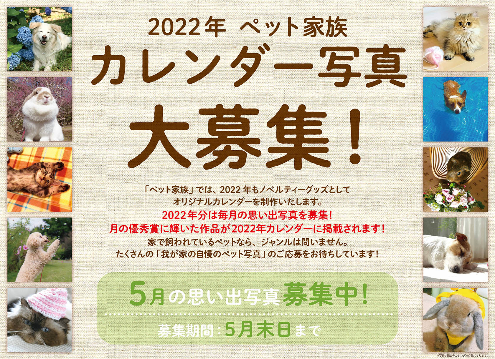 22年 ペット家族 カレンダー写真大募集 お知らせ ペット家族 公式サイト