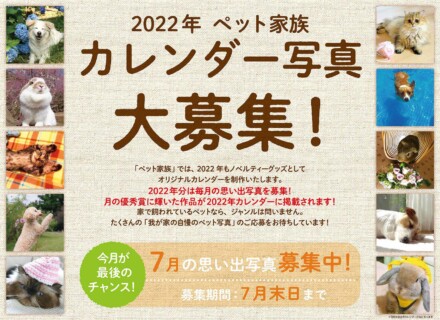 22年 ペット家族 カレンダー写真募集終了のお知らせ お知らせ ペット家族 公式サイト