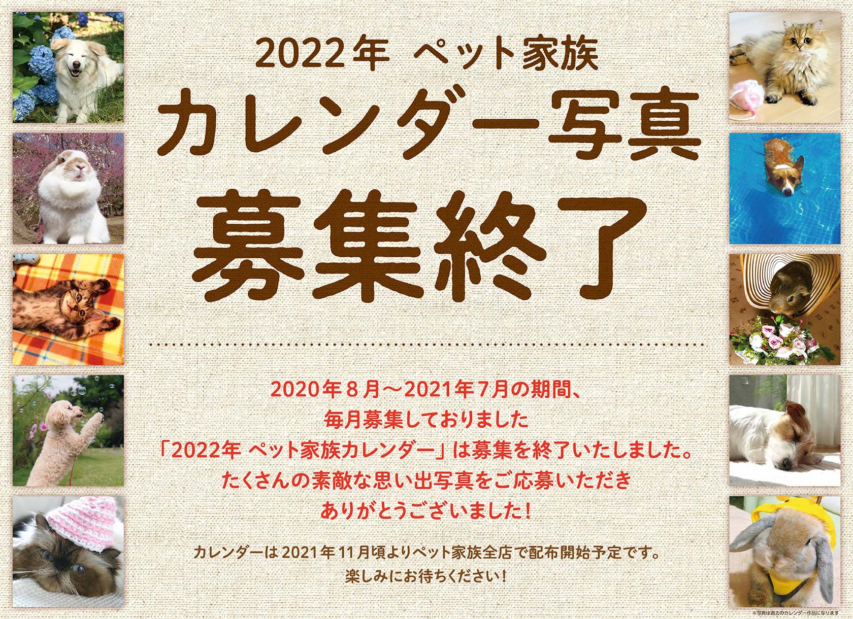 2022年 ペット家族 カレンダー写真募集終了のお知らせ お知らせ ペット家族 公式サイト