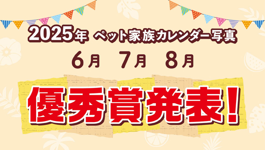 2025年ペット家族カレンダー写真優秀賞発表（6月～8月）！