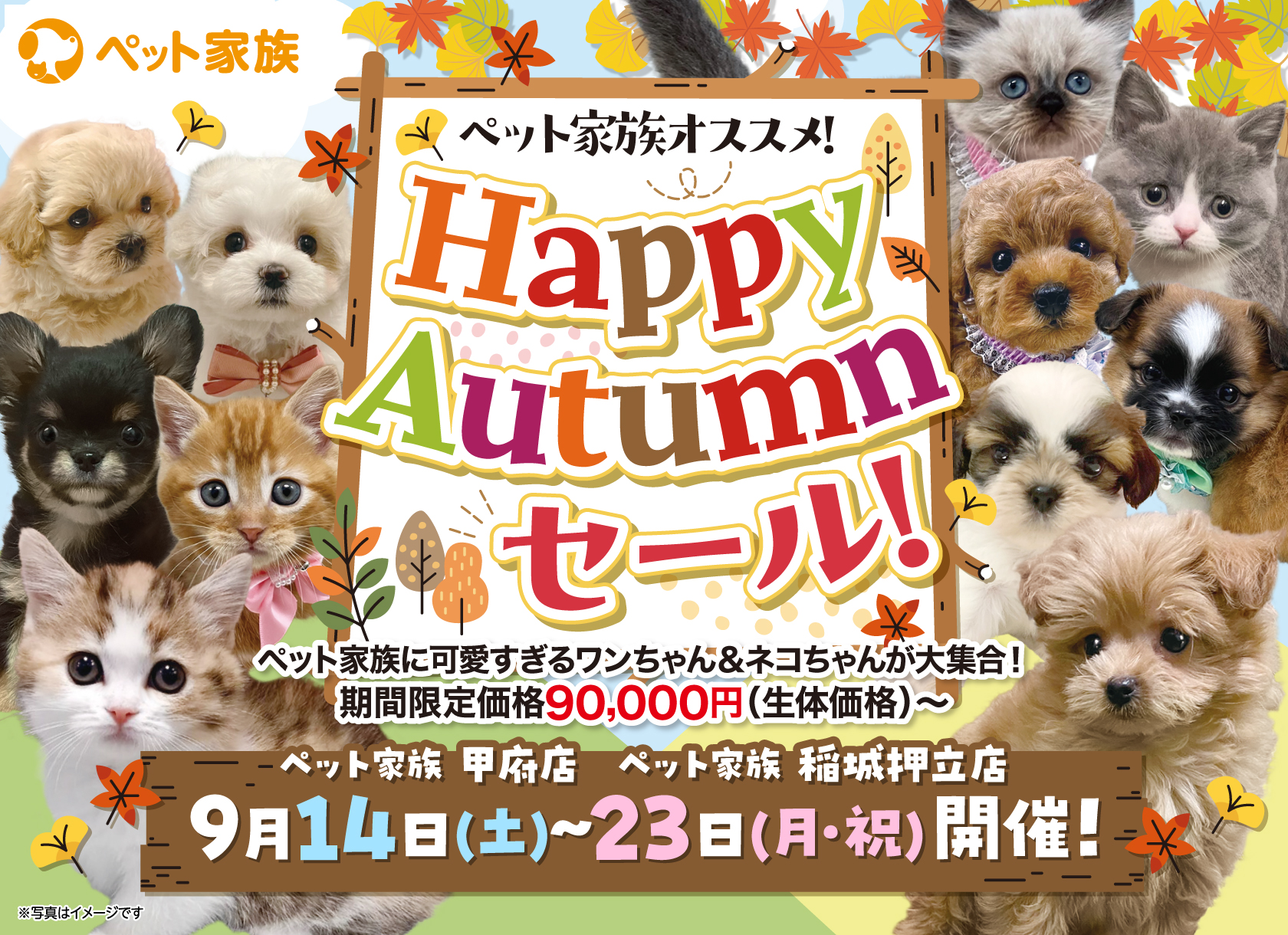 Happy Autumn セール！