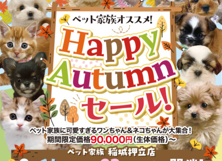 Happy Autumn セール開催！