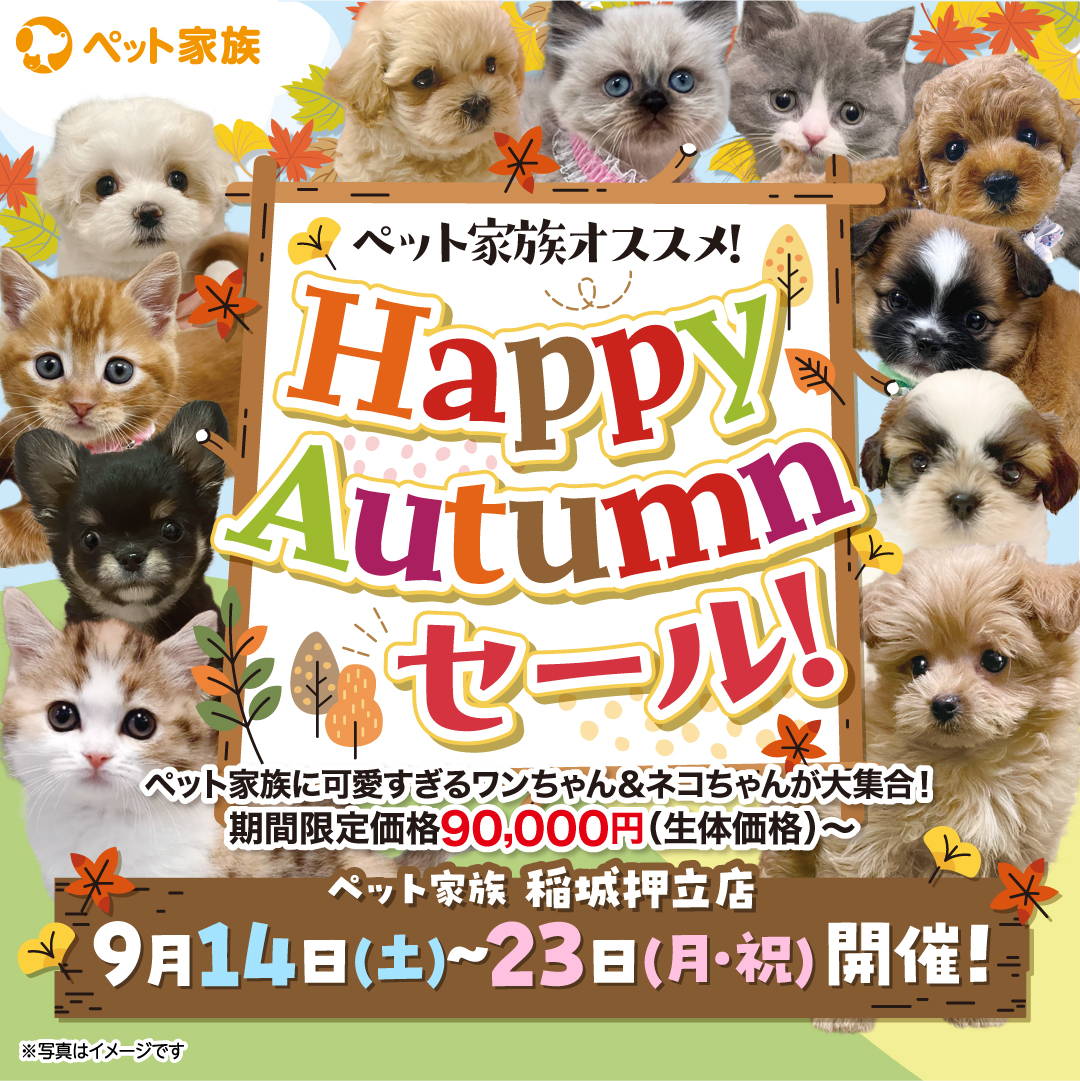 Happy Autumn セール開催！