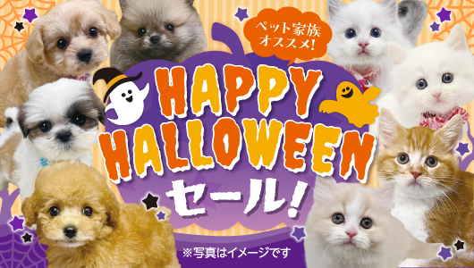 HAPPY HALLOWEENセール！開催