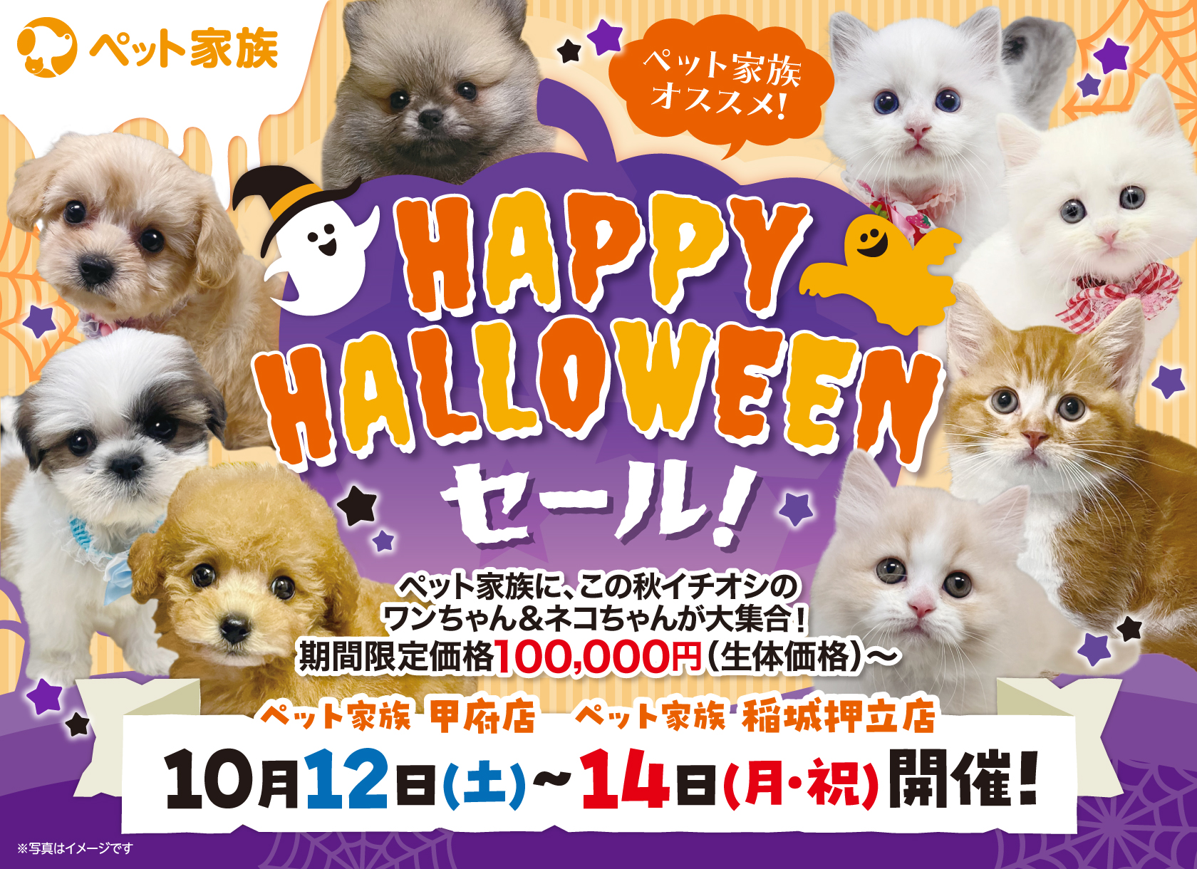 HAPPY HALLOWEENセール開催！