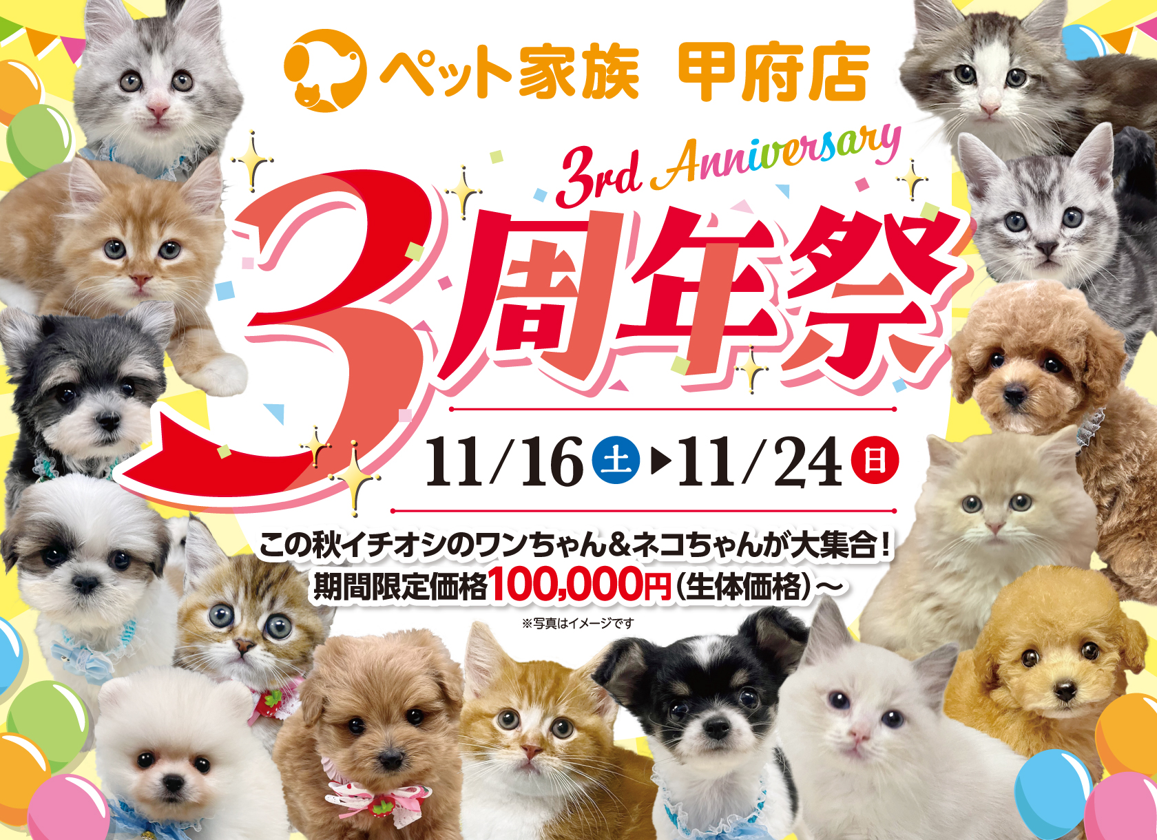 ペット家族甲府店3周年祭